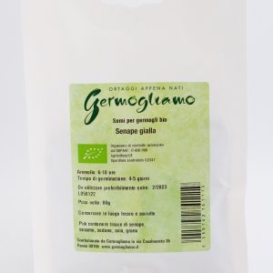 germogli-Senape-gialla