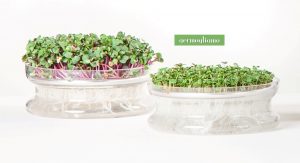 Germogliatore Automatico In Vetro La Germogliera - Coltiva Germogli In Casa Con Semplicità - Foto 7