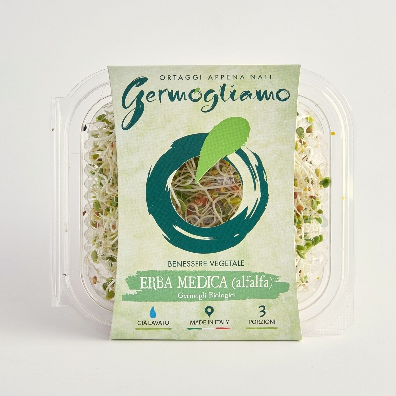 germogli erba medica alfalfa