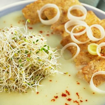 crema-porro-germogli-alfalfa