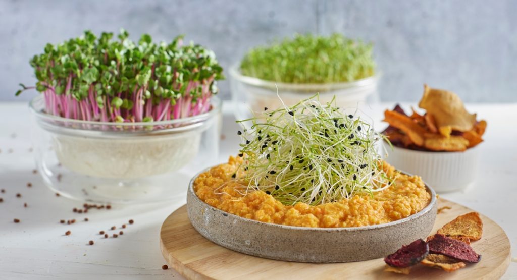 germogliera-ricetta-germogli